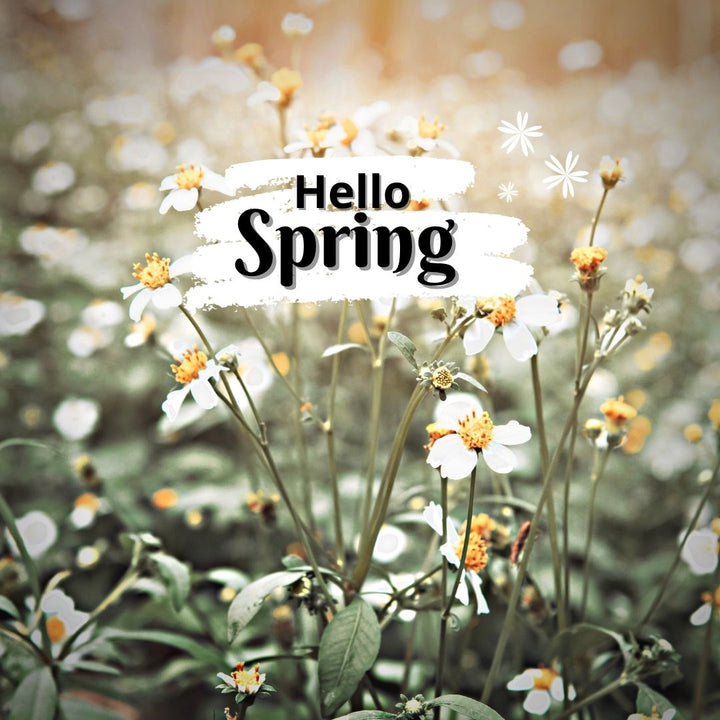 Welcoming Spring: A Time for Renewal, Reflection and Gentle Healing