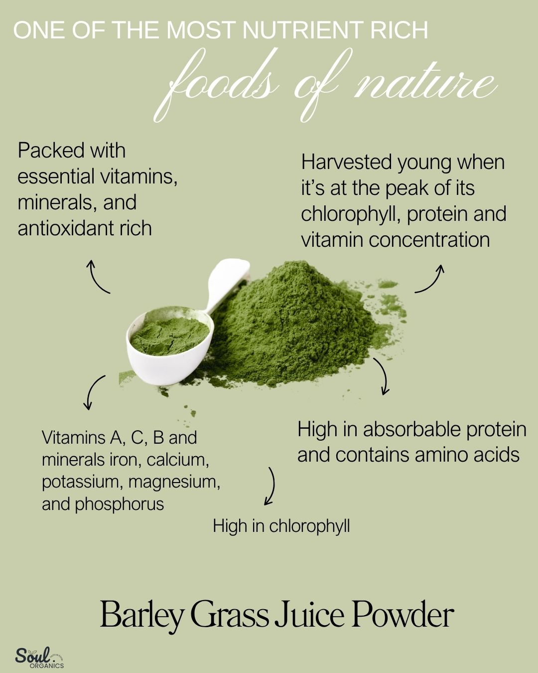 Organic Barley Grass Juice Powder Benefits Soul Organics Australia Buy Now