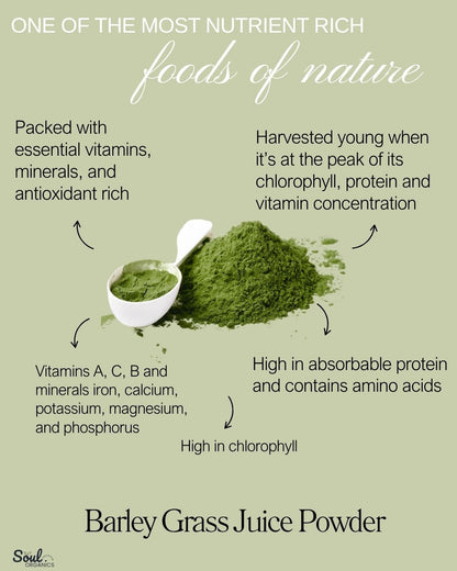 Organic Barley Grass Juice Powder Benefits Soul Organics Australia Buy Now