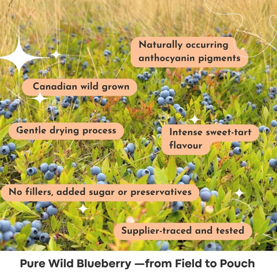 Wild Blueberry Powder benefits and nutrition by Soul Organics 