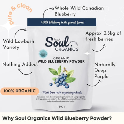 Benefits of Wild Blueberry Powder by Soul Organics 