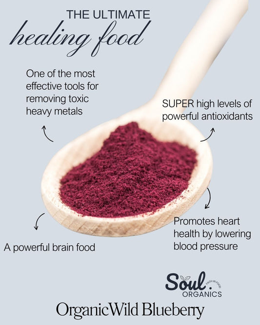 Organic Wild Blueberry Powder 500g